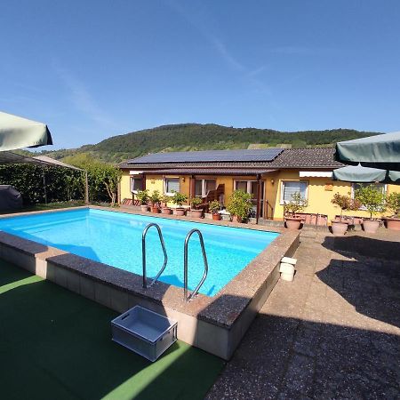 Ferienwohnung Moselferienweingut Schaefer Wintrich Exterior foto
