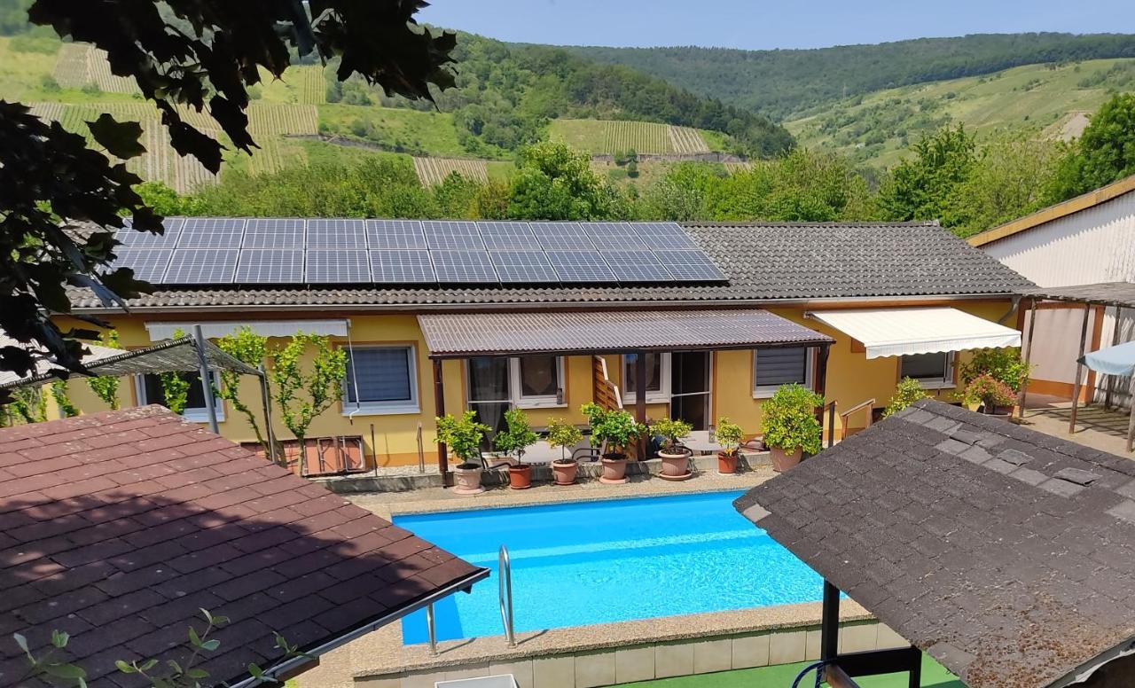 Ferienwohnung Moselferienweingut Schaefer Wintrich Exterior foto