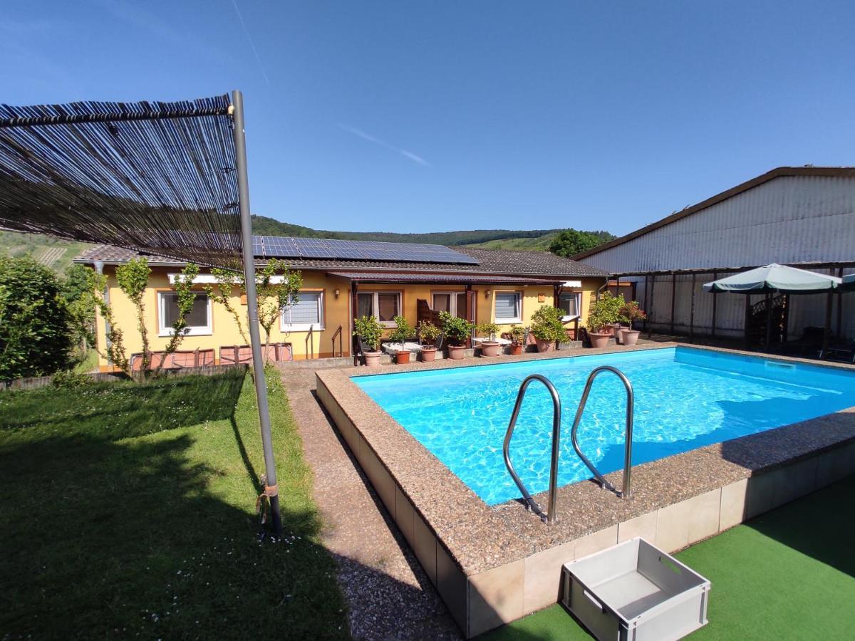 Ferienwohnung Moselferienweingut Schaefer Wintrich Exterior foto