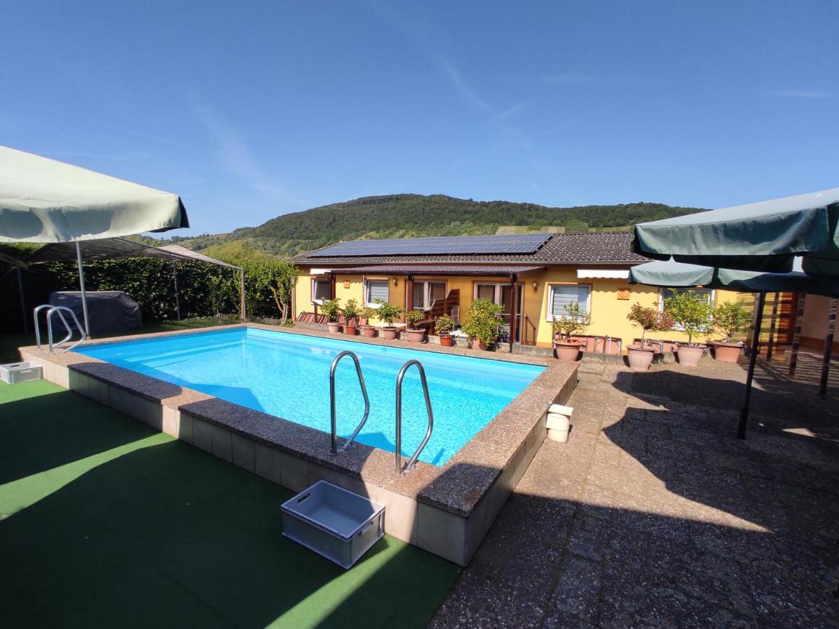 Ferienwohnung Moselferienweingut Schaefer Wintrich Exterior foto