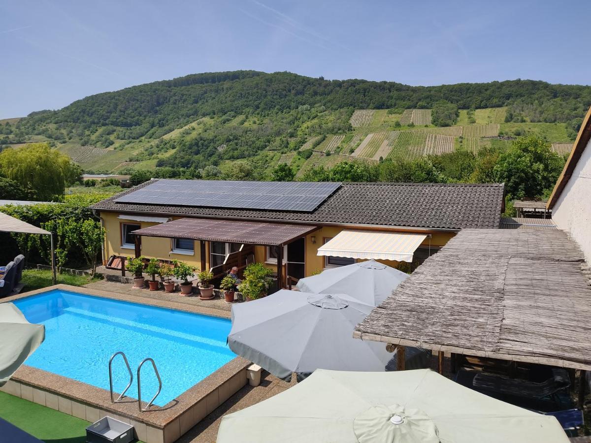 Ferienwohnung Moselferienweingut Schaefer Wintrich Exterior foto