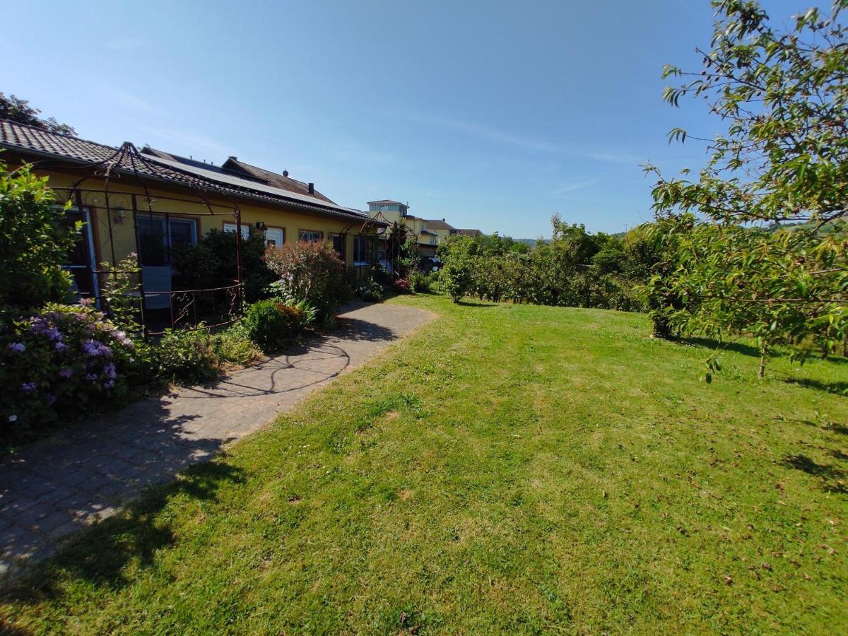 Ferienwohnung Moselferienweingut Schaefer Wintrich Exterior foto