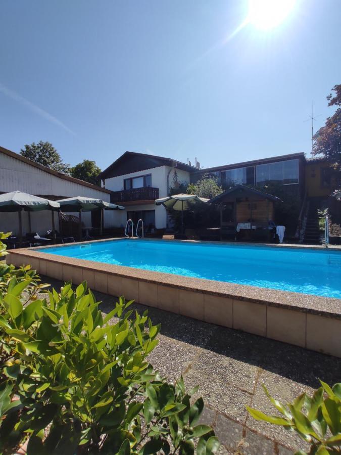 Ferienwohnung Moselferienweingut Schaefer Wintrich Exterior foto