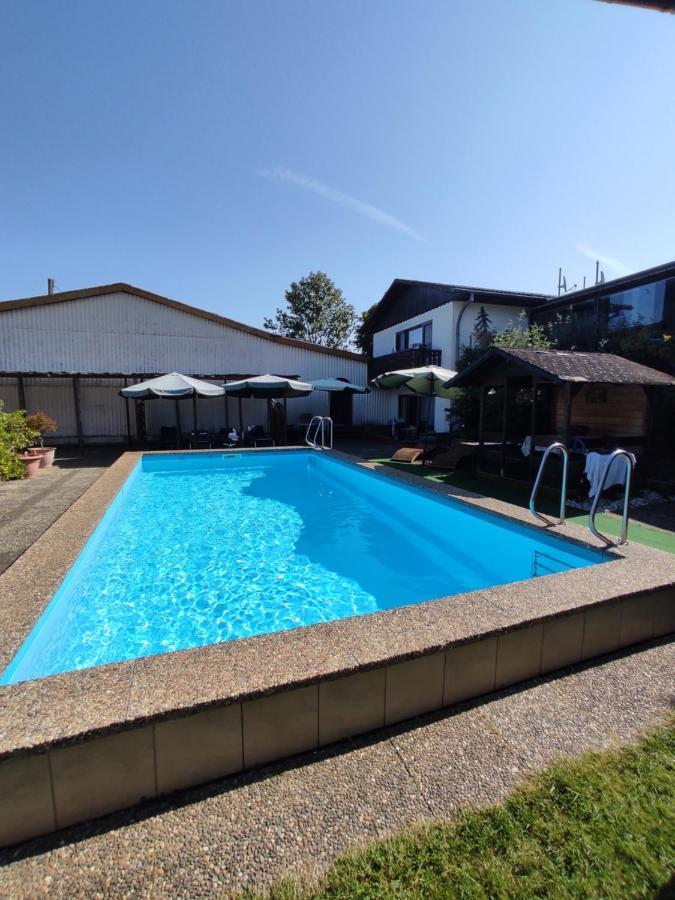 Ferienwohnung Moselferienweingut Schaefer Wintrich Exterior foto