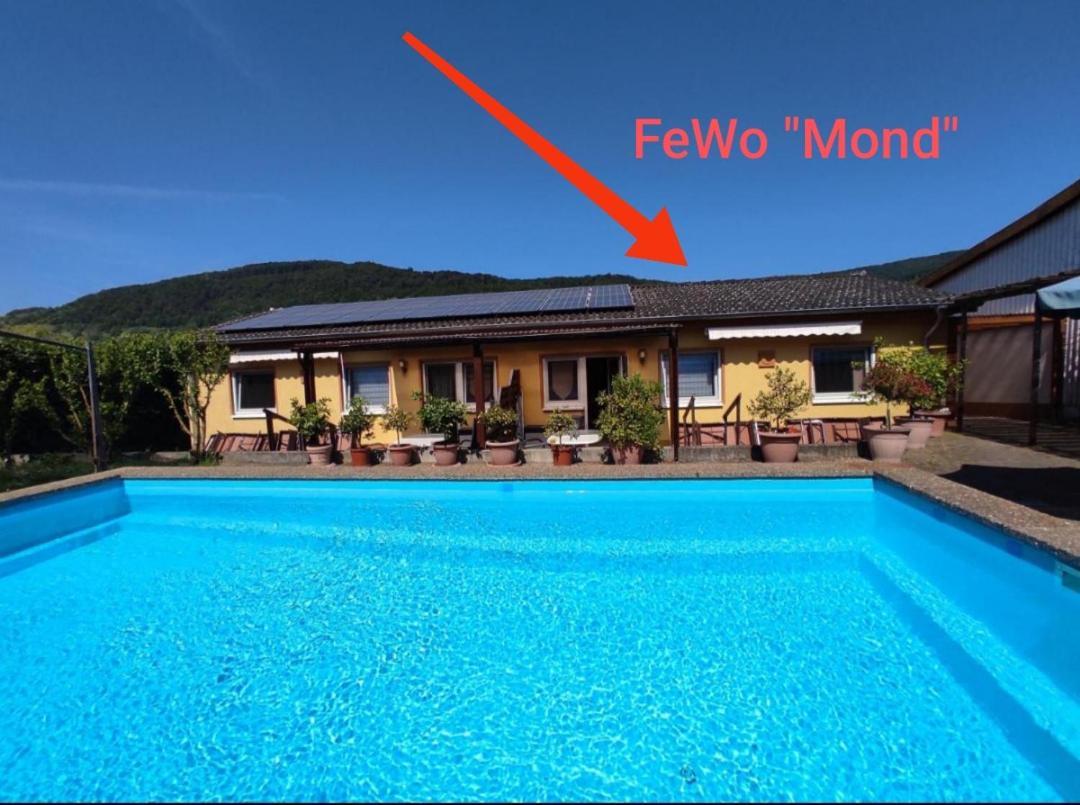 Ferienwohnung Moselferienweingut Schaefer Wintrich Zimmer foto